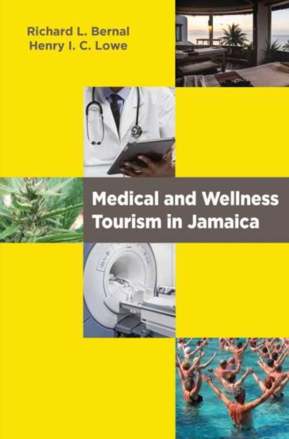 Medical and Wellness Tourism in Jamaica, Paperback / softback Book