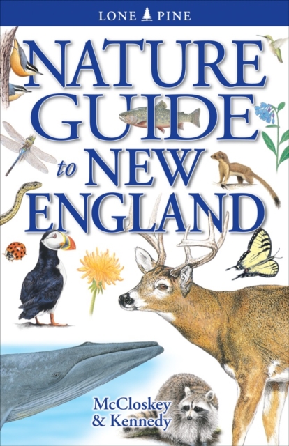 Nature Guide to New England, Paperback / softback Book