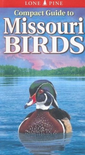 Compact Guide to Missouri Birds, Paperback / softback Book