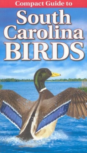 Compact Guide to South Carolina Birds, Paperback / softback Book