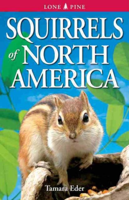 Squirrels of North America, Paperback / softback Book