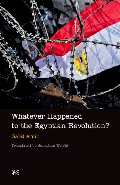Whatever Happened to the Egyptian Revolution?, Hardback Book