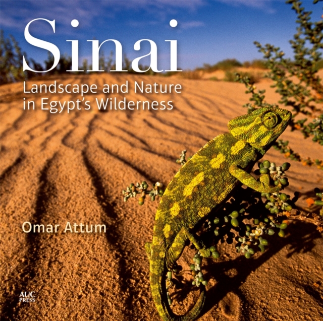 Sinai : Landscape and Nature in Egypt’s Wilderness, Hardback Book