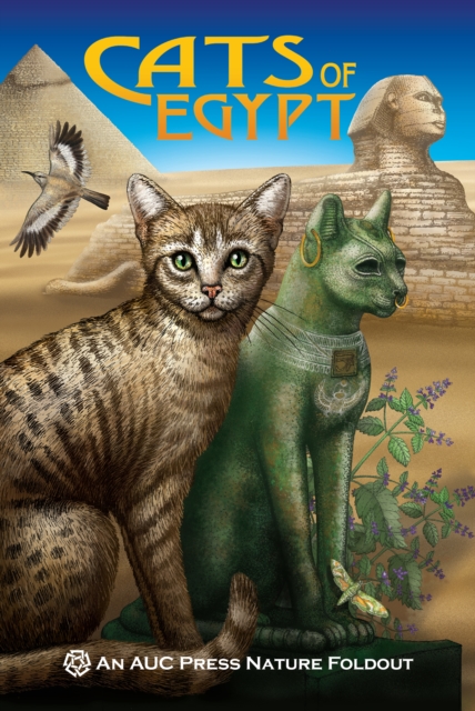 Cats of Egypt : An AUC Press Nature Foldout, Paperback / softback Book