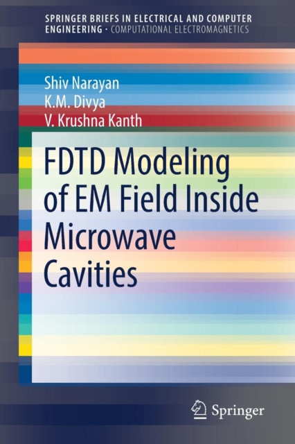 FDTD Modeling of EM Field inside Microwave Cavities, Paperback / softback Book