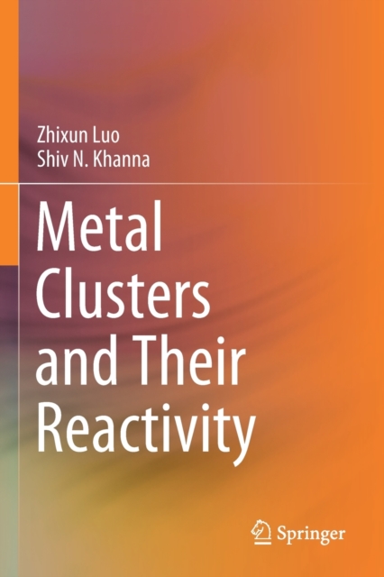 Metal Clusters and Their Reactivity, Paperback / softback Book