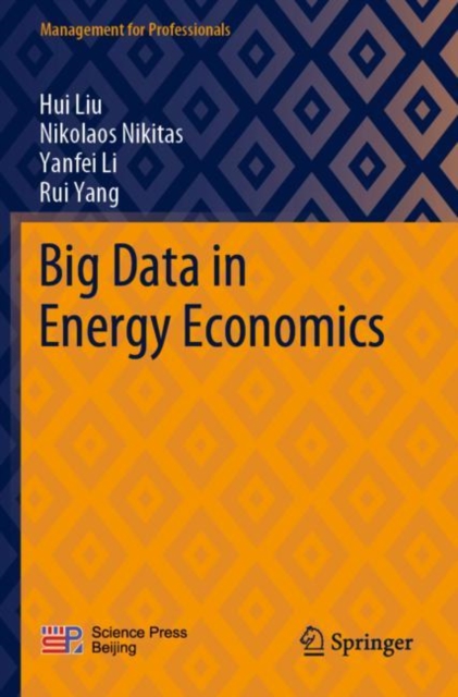 Big Data in Energy Economics, Paperback / softback Book