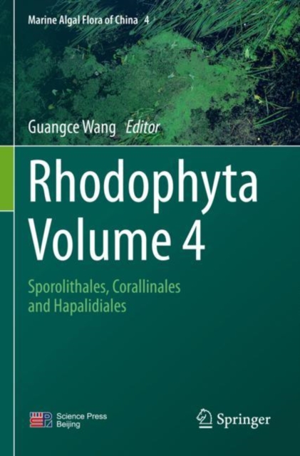 Rhodophyta - Volume 4 : Sporolithales, Corallinales and Hapalidiales, Paperback / softback Book