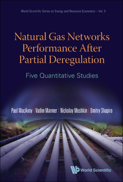 Natural Gas Networks Performance After Partial Deregulation: Five Quantitative Studies, Hardback Book