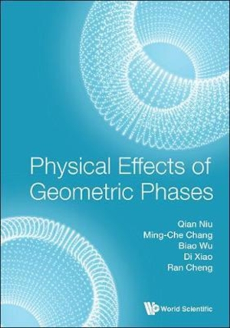 Physical Effects Of Geometric Phases, Hardback Book