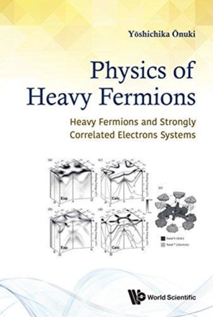 Physics Of Heavy Fermions: Heavy Fermions And Strongly Correlated Electrons Systems, Hardback Book