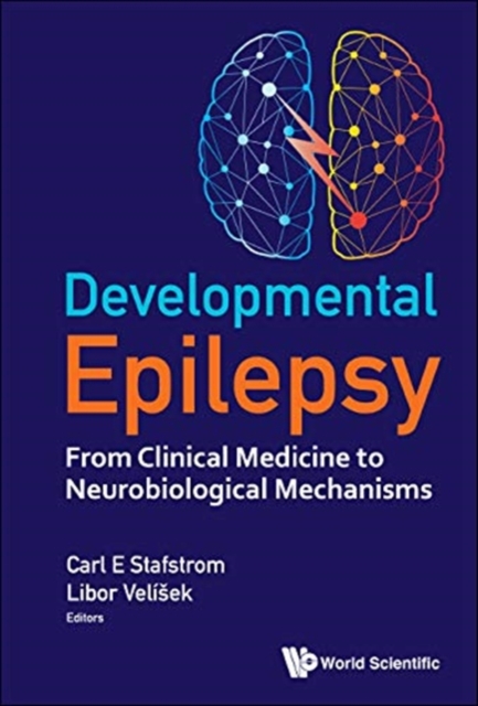 Developmental Epilepsy: From Clinical Medicine To Neurobiological Mechanisms, Hardback Book