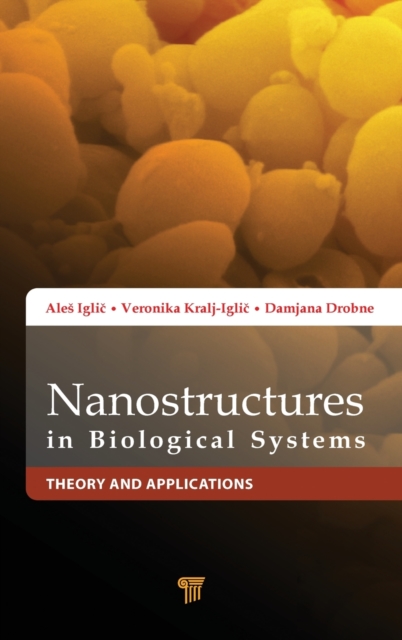 Nanostructures in Biological Systems : Theory and Applications, Hardback Book