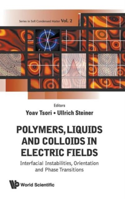Polymers, Liquids And Colloids In Electric Fields: Interfacial Instabilites, Orientation And Phase Transitions, Hardback Book