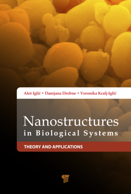 Nanostructures in Biological Systems : Theory and Applications, PDF eBook