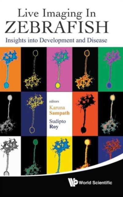 Live Imaging In Zebrafish: Insights Into Development And Disease, Hardback Book