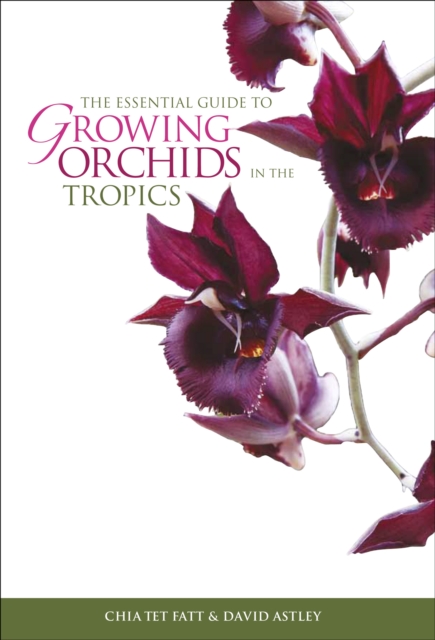 The Essential Guide To Growing Orchids In The Tropics,, Paperback / softback Book