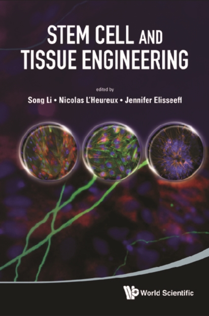 Stem Cell And Tissue Engineering, PDF eBook