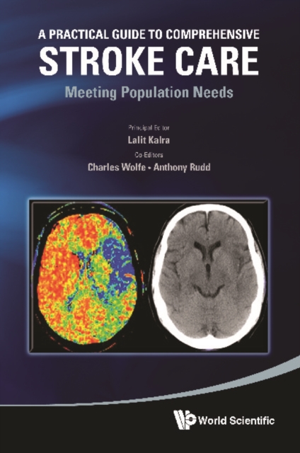 Practical Guide To Comprehensive Stroke Care, A: Meeting Population Needs, PDF eBook