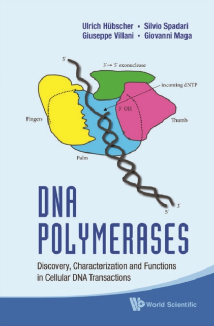 Dna Polymerases: Discovery, Characterization And Functions In Cellular Dna Transactions, PDF eBook