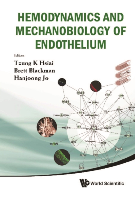 Hemodynamics And Mechanobiology Of Endothelium, PDF eBook