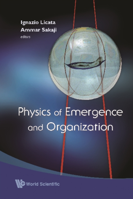 Physics Of Emergence And Organization, PDF eBook
