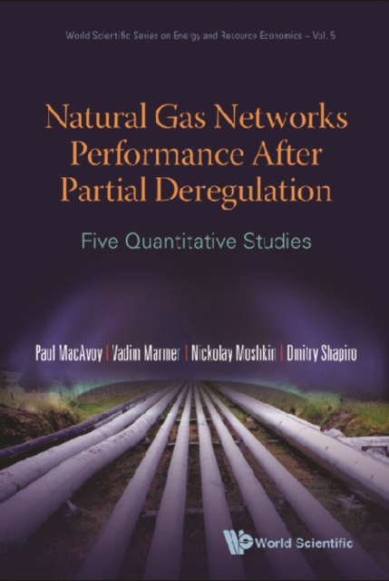 Natural Gas Networks Performance After Partial Deregulation: Five Quantitative Studies, PDF eBook