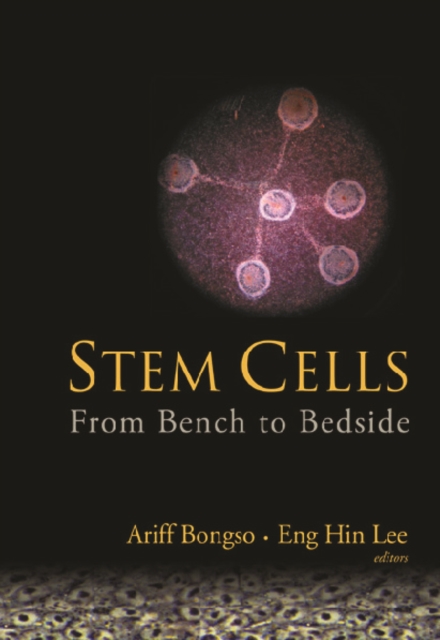 Stem Cells: From Bench To Bedside, PDF eBook