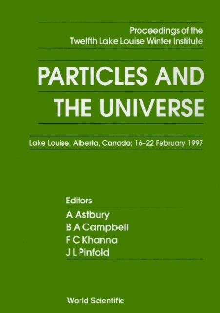 Particles And The Universe: Proceedings Of The 12th Lake Winter Institute, PDF eBook