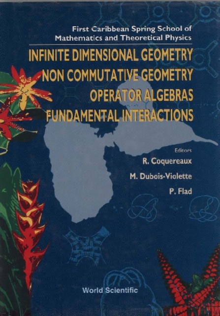 Infinite Dimensional Geometry, Noncommutative Geometry, Operator Algebras And Fundamental Interactions - Proceedings Of The First Caribbean Spring School Of Mathematics And Theoretical Physics, PDF eBook