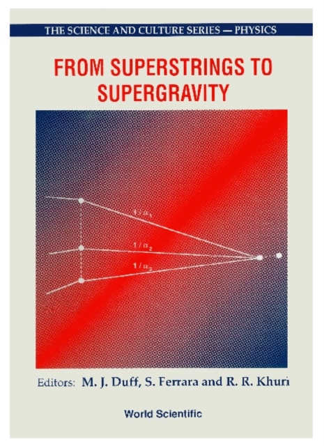 From Superstrings To Supergravity - Proceedings Of The 26th Workshop Of The Eloisatron Project, PDF eBook