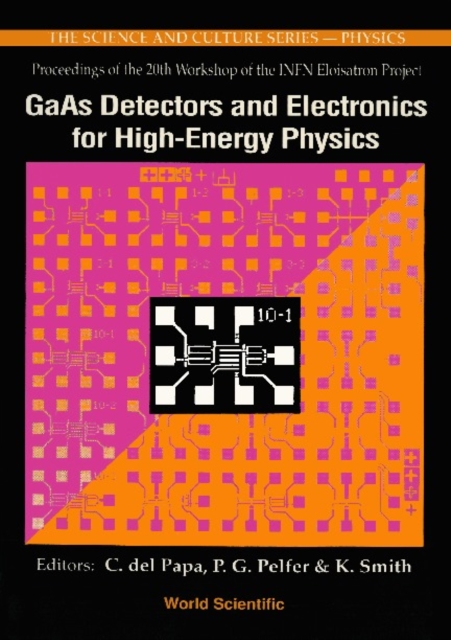 Gaas Detectors And Electronics For High Energy Physics - Proceedings Of The 20th Infn Eloisatron Project Workshop, PDF eBook