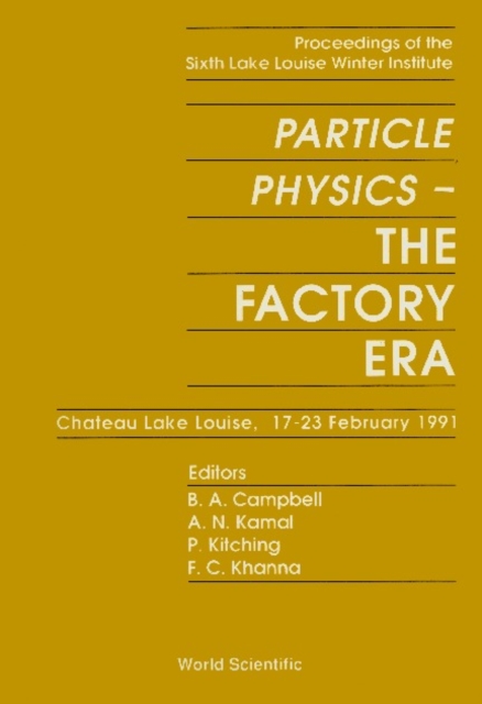 Particle Physics: The Factory Era - Proceedings Of The Sixth Lake Louise Winter Institute, PDF eBook