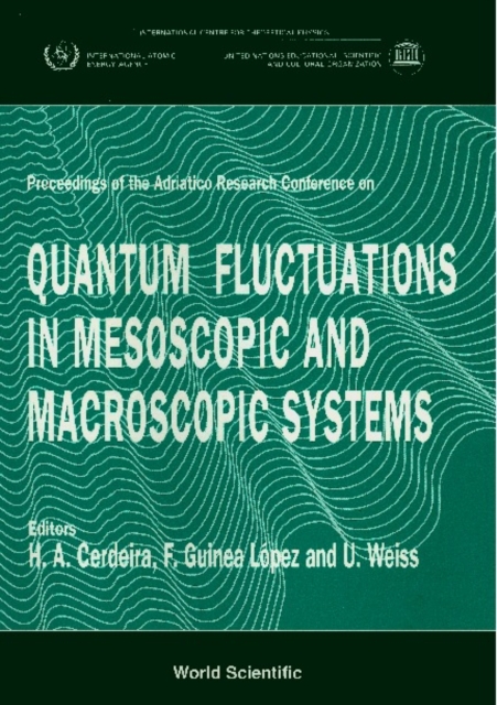 Quantum Fluctuations In Mesoscopic And Macroscopic Systems - Proceedings Of The Adriatico Research Conference, PDF eBook