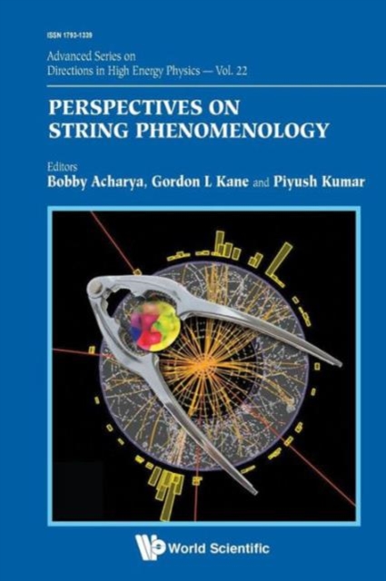 Perspectives On String Phenomenology, Paperback / softback Book