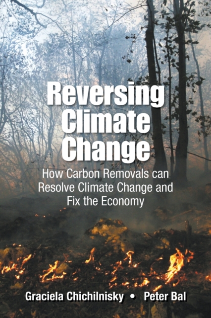 Reversing Climate Change: How Carbon Removals Can Resolve Climate Change And Fix The Economy, Paperback / softback Book