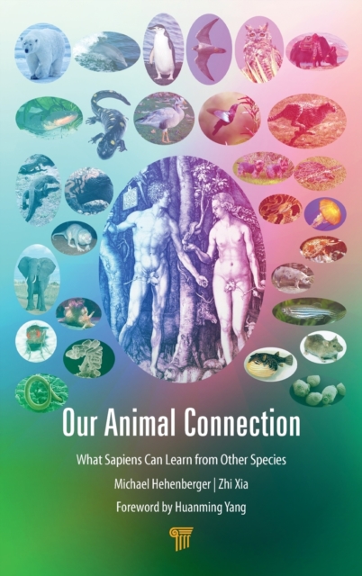 Our Animal Connection : What Sapiens Can Learn from Other Species, Hardback Book