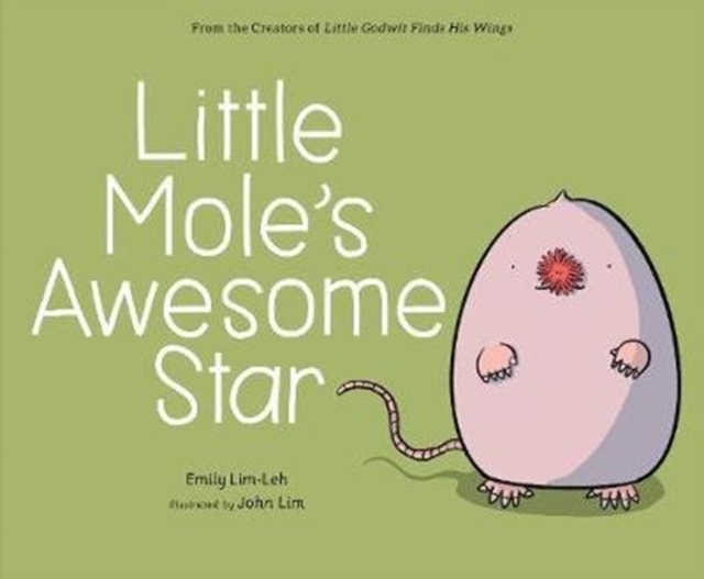 Little Mole’s Awesome Star, Hardback Book