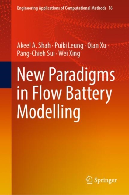 New Paradigms in Flow Battery Modelling, Hardback Book