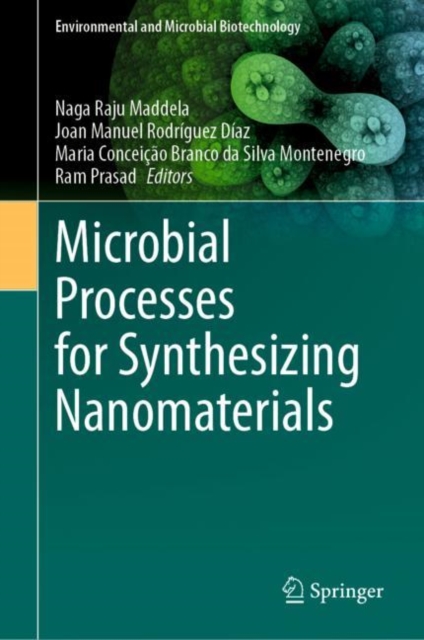 Microbial Processes for Synthesizing Nanomaterials, Hardback Book