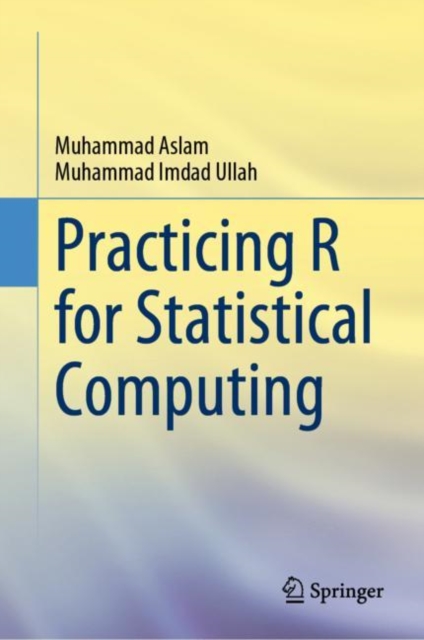 Practicing R for Statistical Computing, Hardback Book