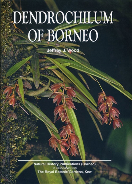 Dendrochilum of Borneo, Hardback Book