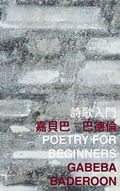 Poetry for Beginners, Paperback / softback Book