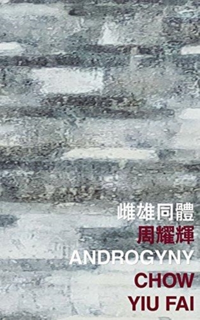 Androgyny, Paperback / softback Book