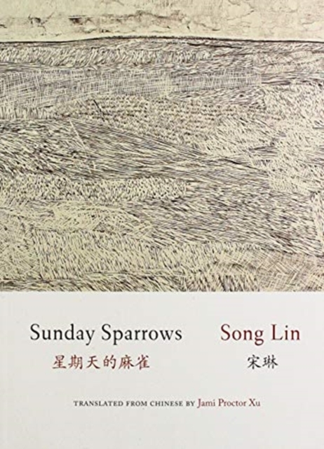 Sunday Sparrows, Paperback / softback Book