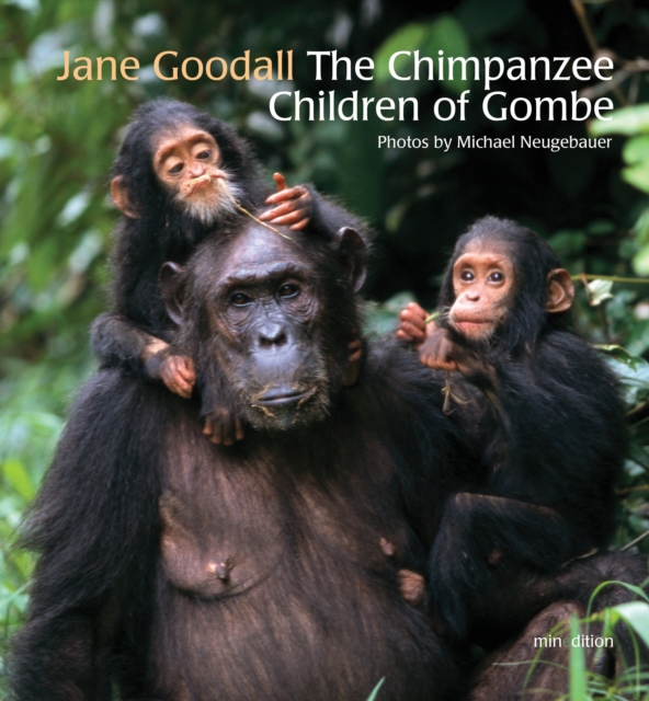 The Chimpanzee Children of Gombe, Hardback Book