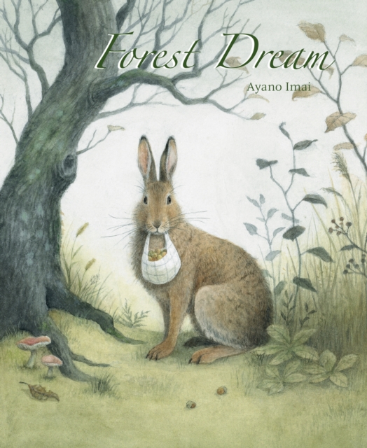 Forest Dream, Hardback Book