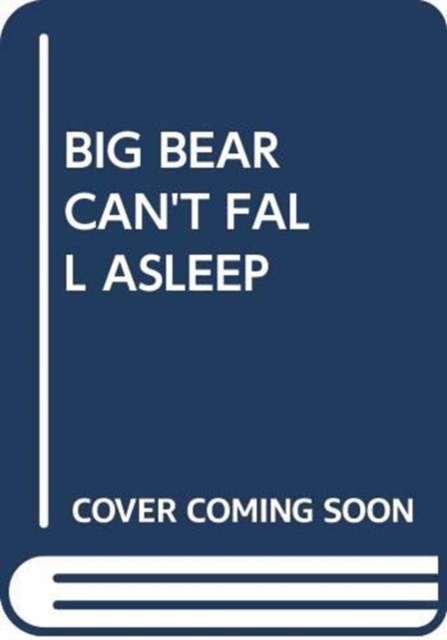 BIG BEAR CAN'T FALL ASLEEP, Hardback Book