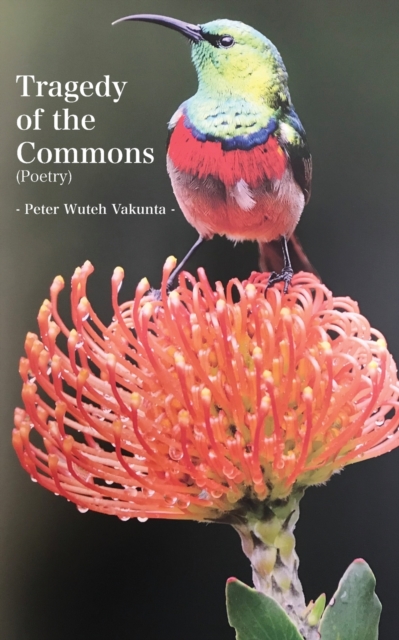 Tragedy of the Commons, Paperback / softback Book