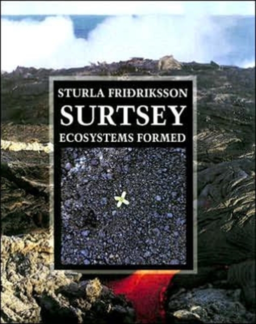 Surtsey : Ecosystems Formed, Hardback Book